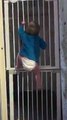 Mission Impossible -  Baby Escape