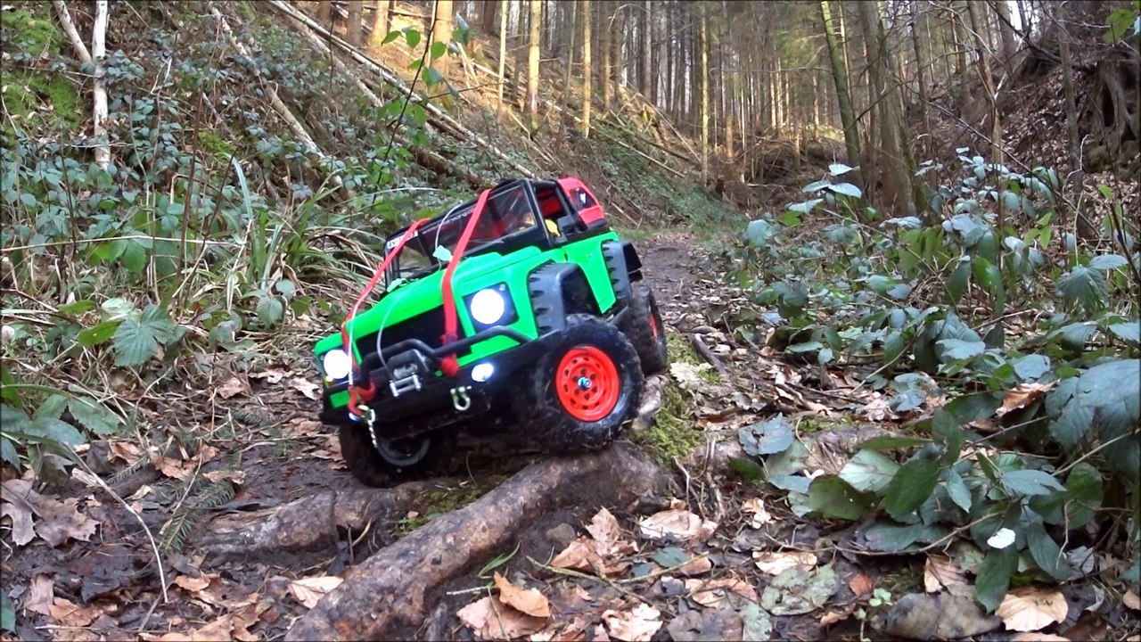 Dingo bei der Tobelschlucht