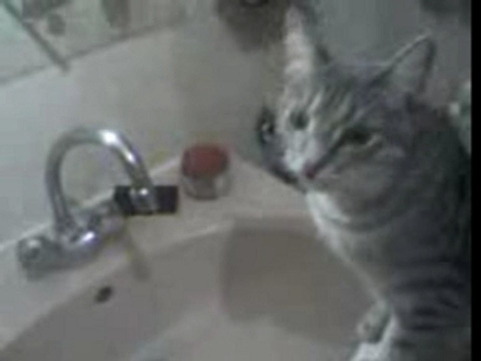 Vidéo 0080
