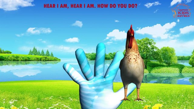 Finger Family Bear Family Rhymes | Animals Cartoon Finger Family Rhymes For Cartoon Rhymes