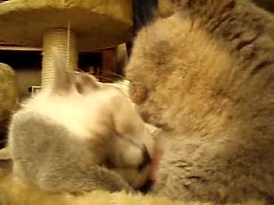 JE T'AIME!