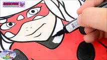 Miraculous Ladybug Cat Noir Action Figures Marinette Toys