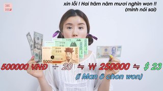 South Vietnam Dong Money value