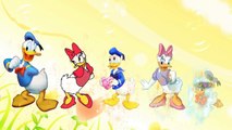 Donald Duck Finger Family with Colors | Nursery Rhymes Playlist with Funny Disney Donald C