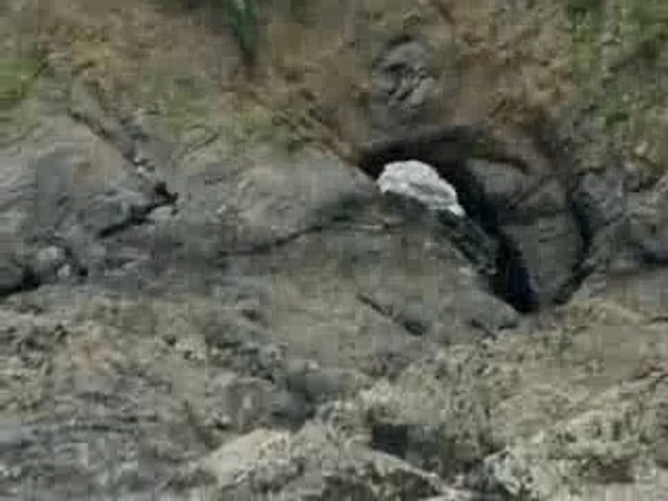 Plongeur se Loupe accident!