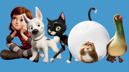 Popular Cartoon Dogs transforms into Real Dogs | Nursery Rhymes Finger Family Song