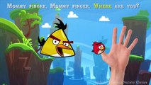 Angry Birds Spiderman Finger Family Song | Angry Birds 2016 Cartoon Nursery Rhymes Songs f