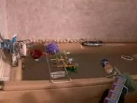 Délire record de domino