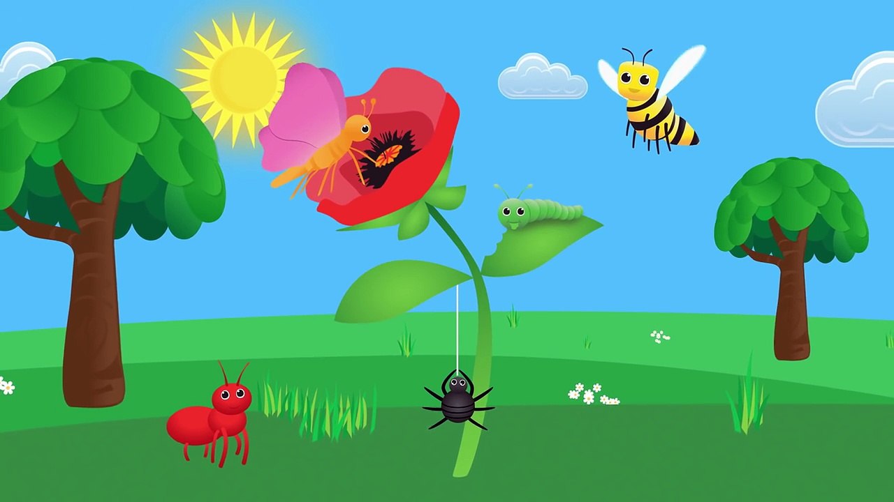 Mariposa de la Canción y Más | 12mins Colección de videos para Niños