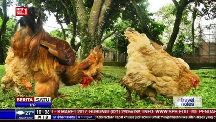 Travel Notes: Menjaga Satwa dari Kepunahan #1