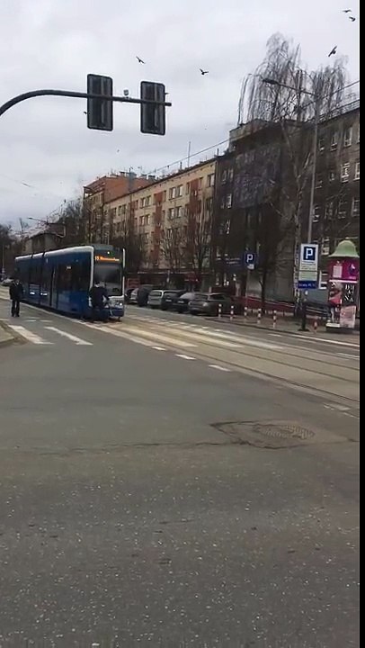 Cyclist vs Tram
