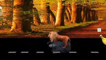 Dinosaurs Vs Animals | Dinosaur Gorilla Lion Bear Elephant Finger Family Songs Collection