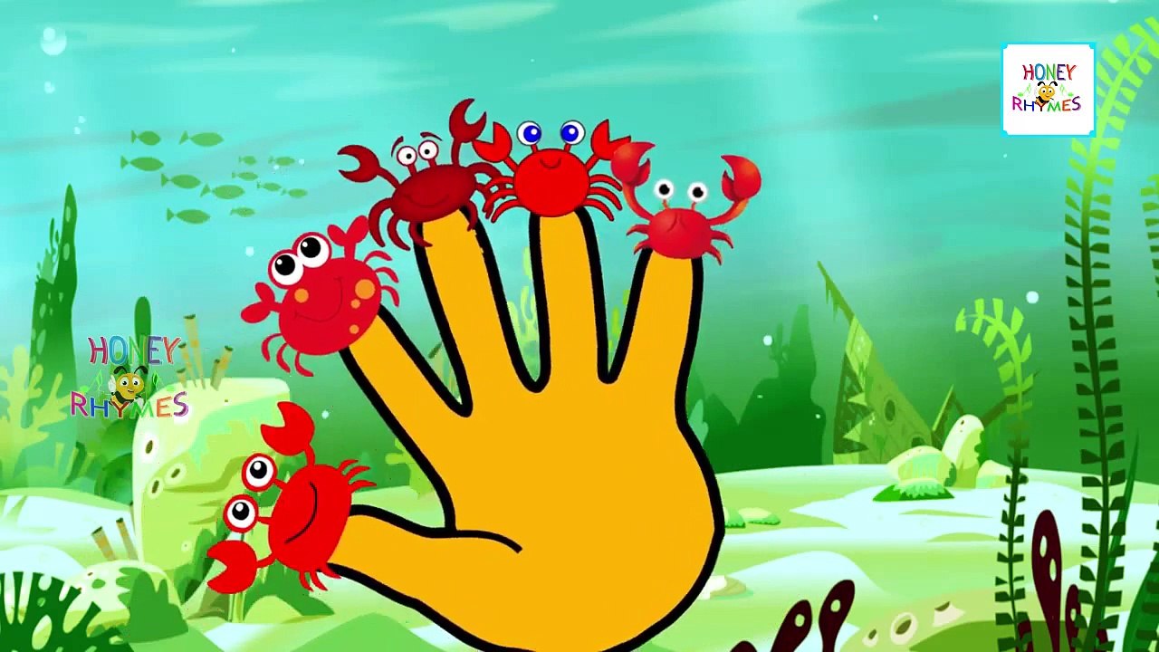 Top Animals Cartoons Finger Family Collection | Animals Finger Family Rhymes for Children