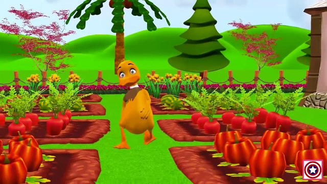 Lion Vs Tiger Finger Family Nursery Rhymes | Lion Vs Tiger Fight | Finger Family Songs For