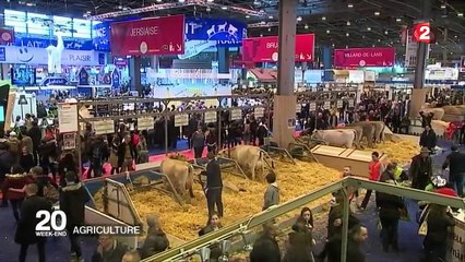 Agriculture : une journée à la campagne