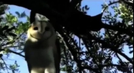 А чё,прикольно №8