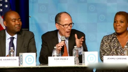 US Democrats to elect new chairperson after loss