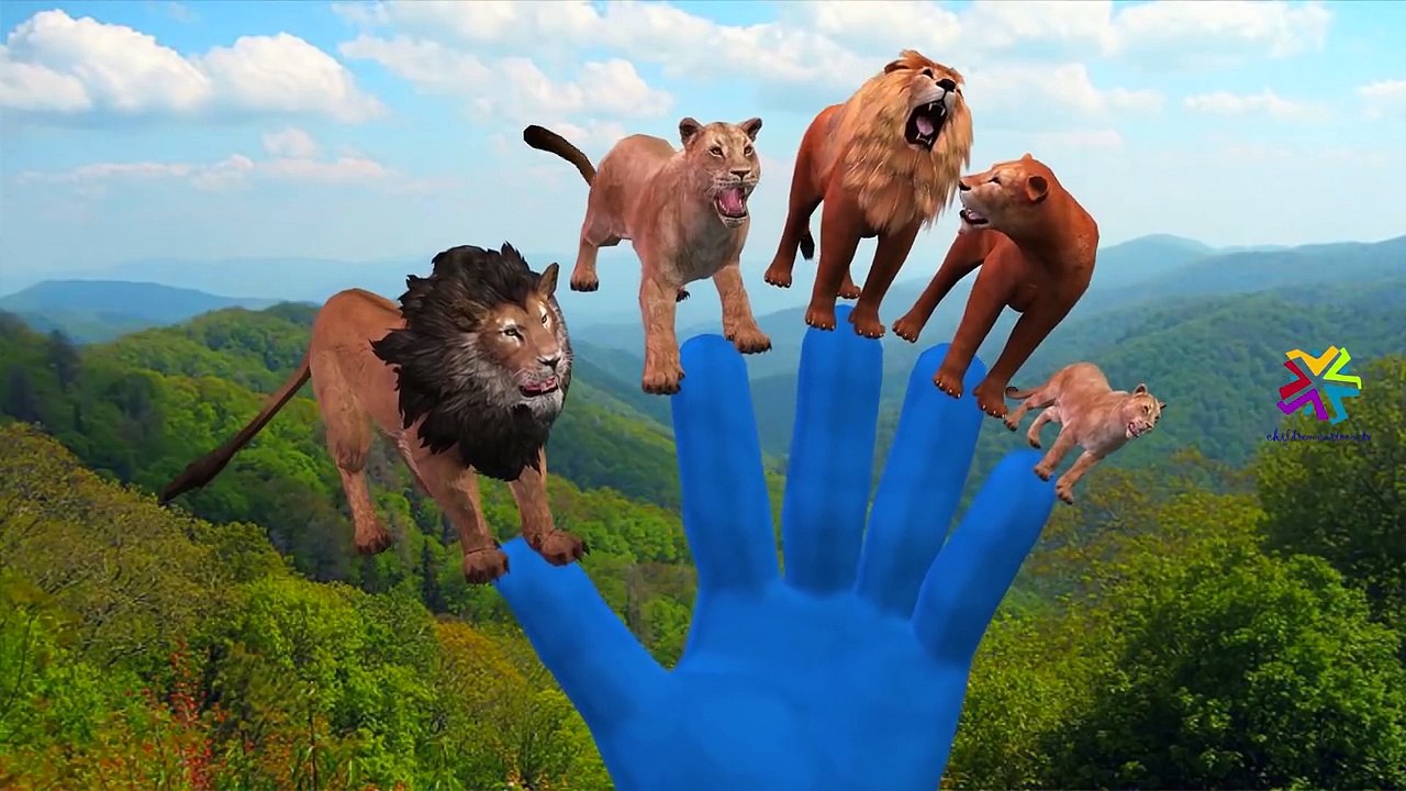 Animals Cartoon Finger Family Rhymes