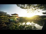 Beautifull Japanese Music - Japanese Instrumental Music | Relaxing Japanese Backgound Garden Music,