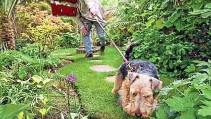 İnsanların Arka Bahçelerinde Yaptıkları Garip Keşifler