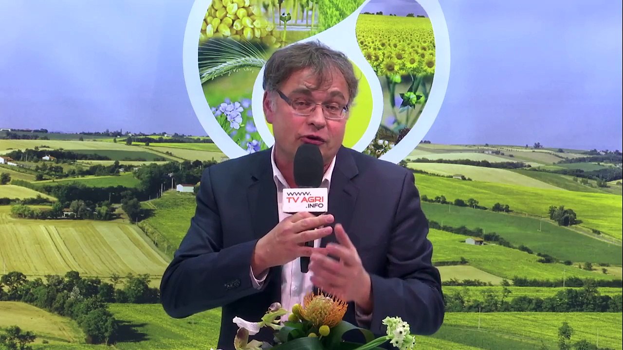 #VillageSemence 2017