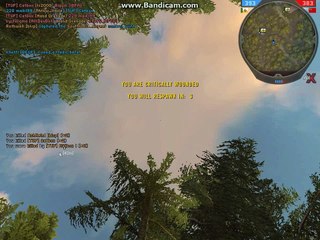 BF2 синглплеер