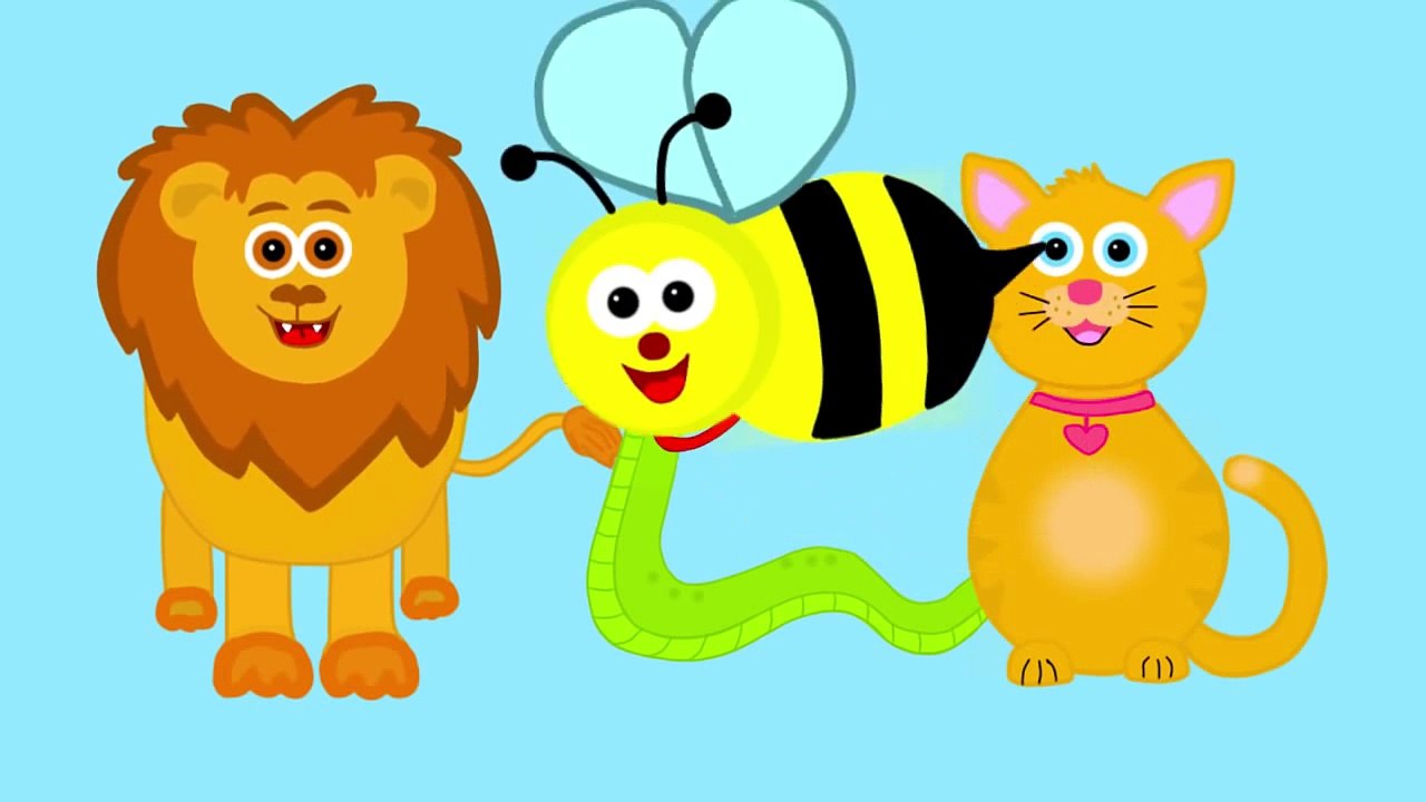 The Animal Sounds Song