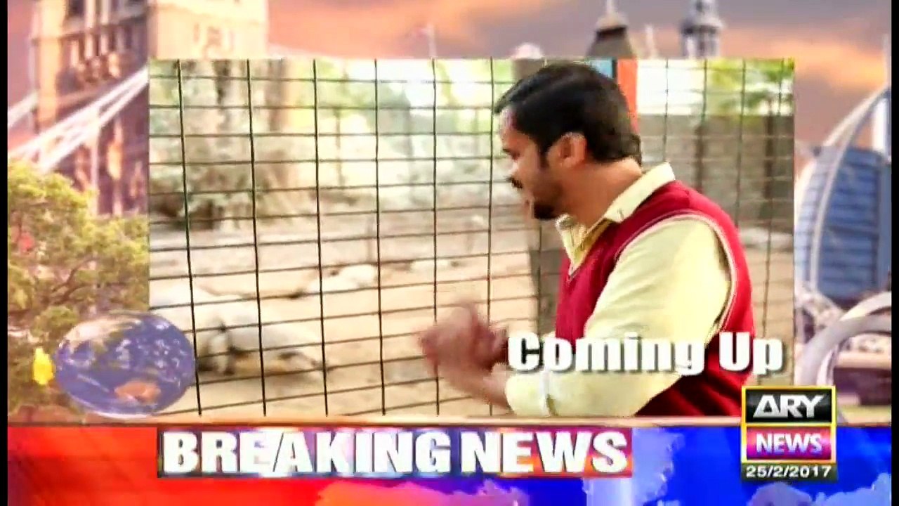 Jahan Bean 25th February 2017