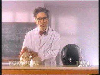 Funny Head protection safety