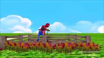 Spiderman 3D Animation Cartoon Nursery Rhymes | Bingo The Dog Song | Biggest Collection