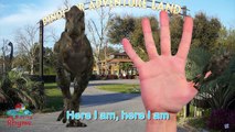 Hulk Dinosaur Finger family 3d Animation - Colors captain America Nursery rhymes for Kids