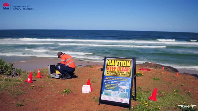 Ce drone détecte les requins qui proche de la plage
