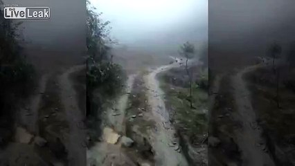 Dingue : des poules qui répondent à l’appel de leur maître