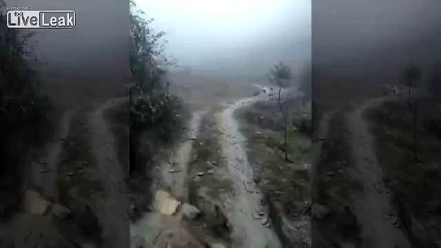 Dingue : des poules qui répondent à l’appel de leur maître