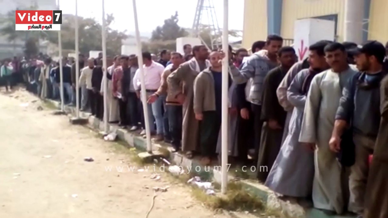 بالفيديو..وكيل وزارة القوى العاملة بالمنيا: ملت...