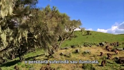 Cine eşti tu...cu adevărat