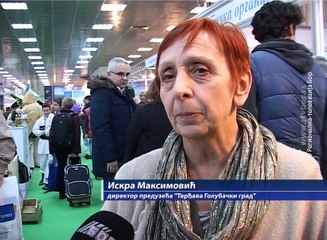 Deo kompleksa “Tvrđava Golubački grad” spreman za posetioce, 25. februar 2017. (RTV Bor)