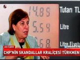 CHP'li milletvekili Elif Doğan Türkmen'den yeni skandal!