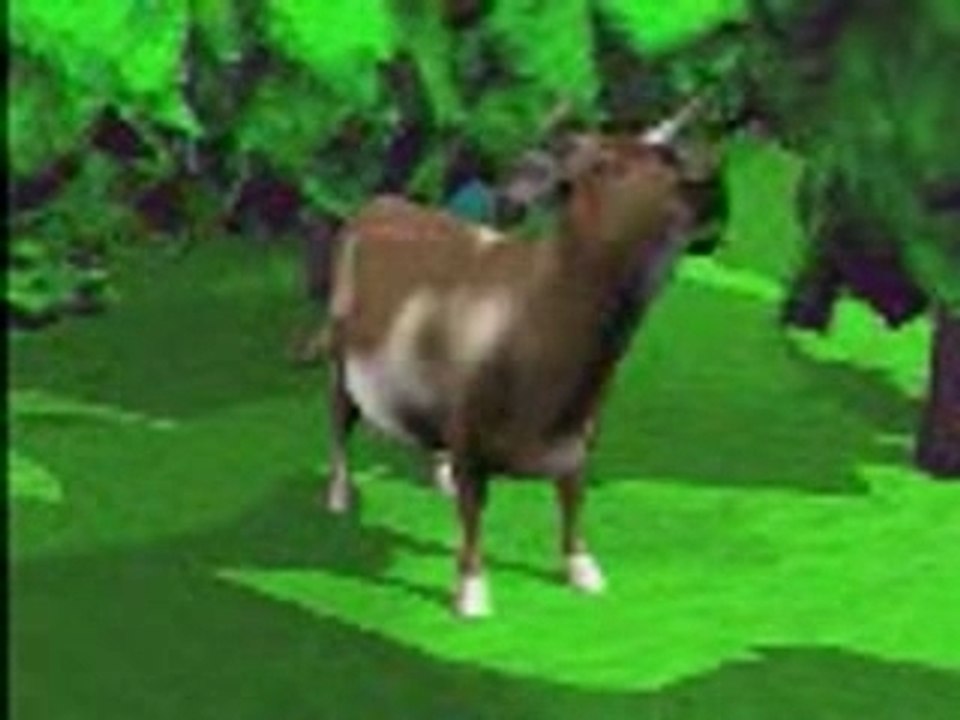 BSE Kuh