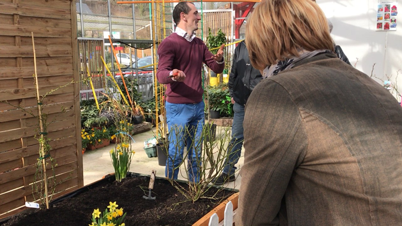 A combien d'yeux on taille son rosier?