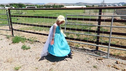 Pink Spidergirl & Frozen Elsa Vs Spiderman Hulk Horse My Little Pony Ride Super Funny Supe