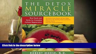 Read Online The Detox Miracle Sourcebook: Raw Foods and Herbs for Complete Cellular Regeneration