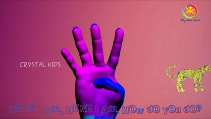 Finger family animals Nursery Rhymes collection | 3d Animated Animals For Children