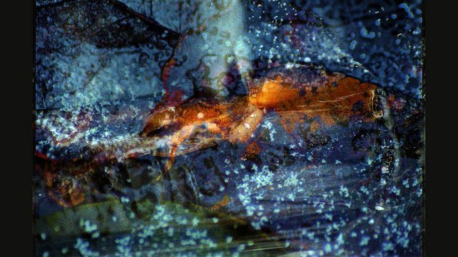 Petites chroniques loufoques des tribulations de Balbize en Romancie - L'autre fou