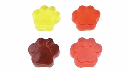 DIY How To Make Jelly Bear Paws Learn Colors Jelly Car
