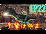 Kye923 | 方舟:生存進化 ARK | EP22 | 牛龍仔誕生