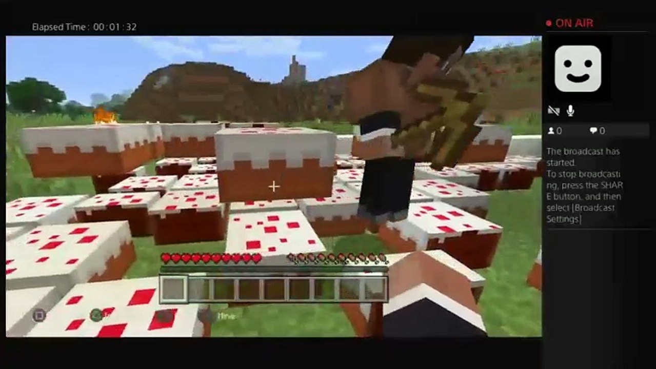 Minecraft (35)