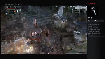 Snake-mc17's Live PS4  bloodborne   Killers  Boss Assassin (5)