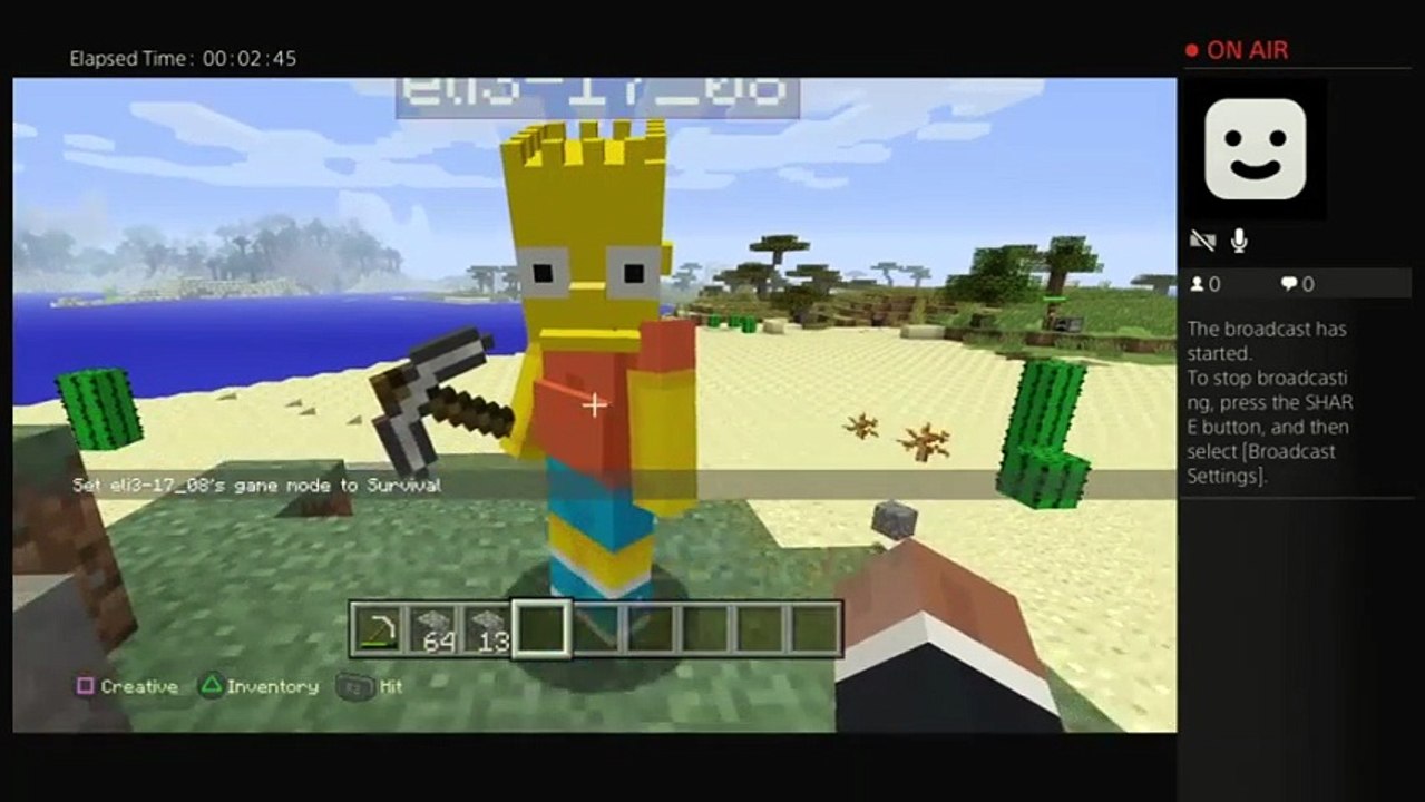 Minecraft (36)