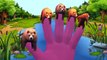 Animals Finger Family Rhymes | 3D Dinosaur Lion Bear Cheetah Tiger Finger Family Rhymes Fo